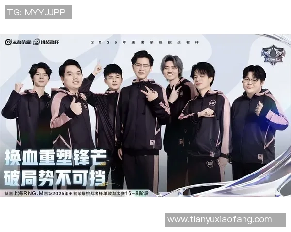 王者荣耀巨献：深入分析RNG战队的实力与战术魅力