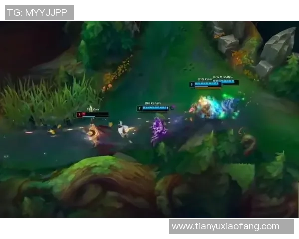 英雄联盟灵活性排名新变化FPX表现突出引发关注与讨论 英雄联盟灵活性排名新变化FPX表现突出引发关注与讨论