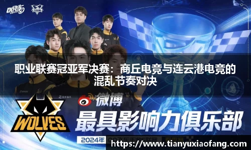 职业联赛冠亚军决赛：商丘电竞与连云港电竞的混乱节奏对决