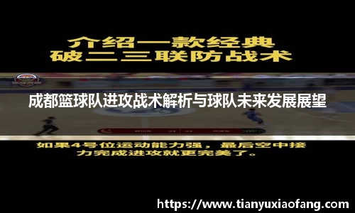 成都篮球队进攻战术解析与球队未来发展展望